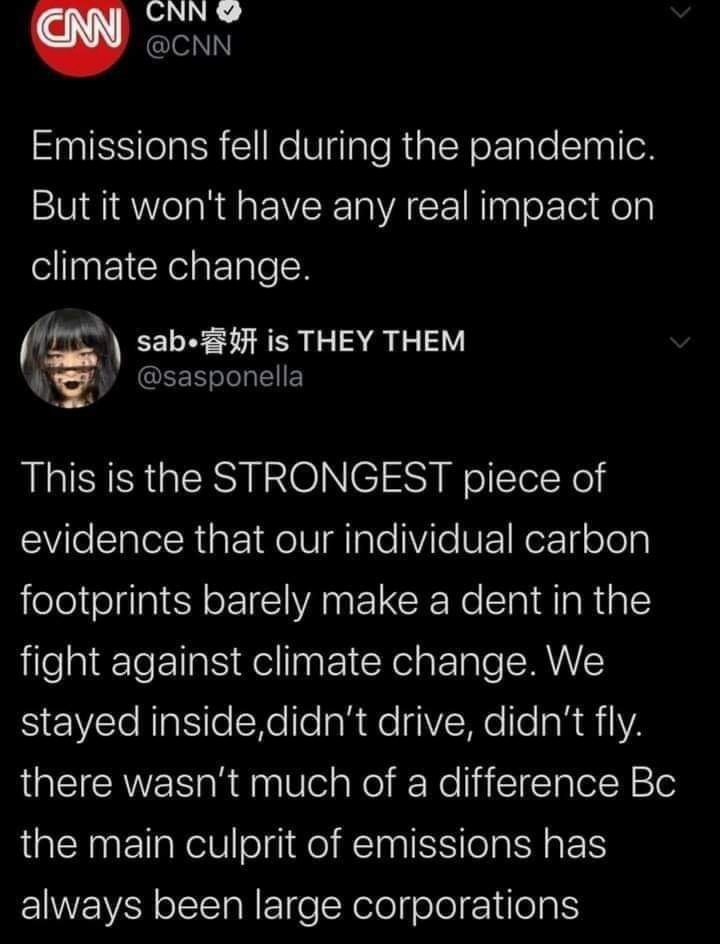 This meme is a screenshot of a Twitter conversation between two users, with the top tweet saying "Emissions fell during the pandemic, but it won't have a lasting impact on climate change" and the bottom tweet responding with a sarcastic comment about climate change. The text of the second tweet is: "In 2 years we'll be talking about how we need to reduce emissions because of the pandemic, not because of climate change."